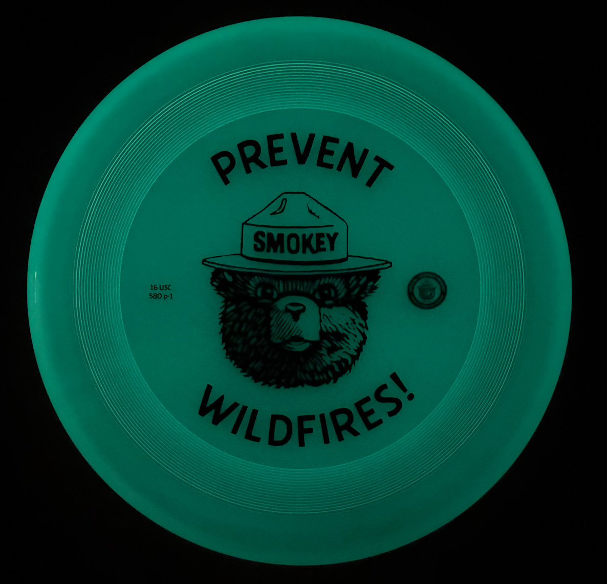Glow in the Dark Disc