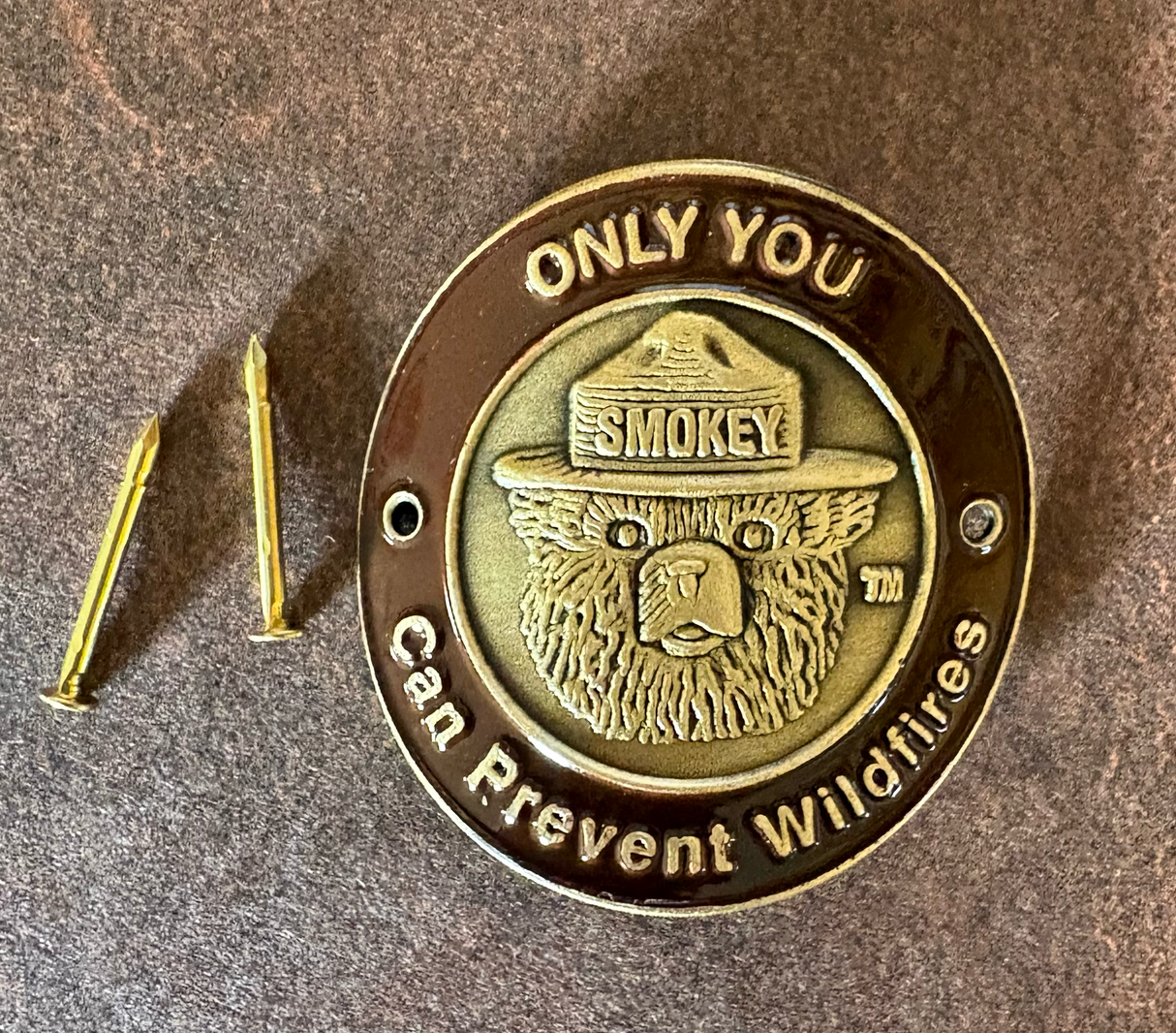 Hiking Stick Medallion
