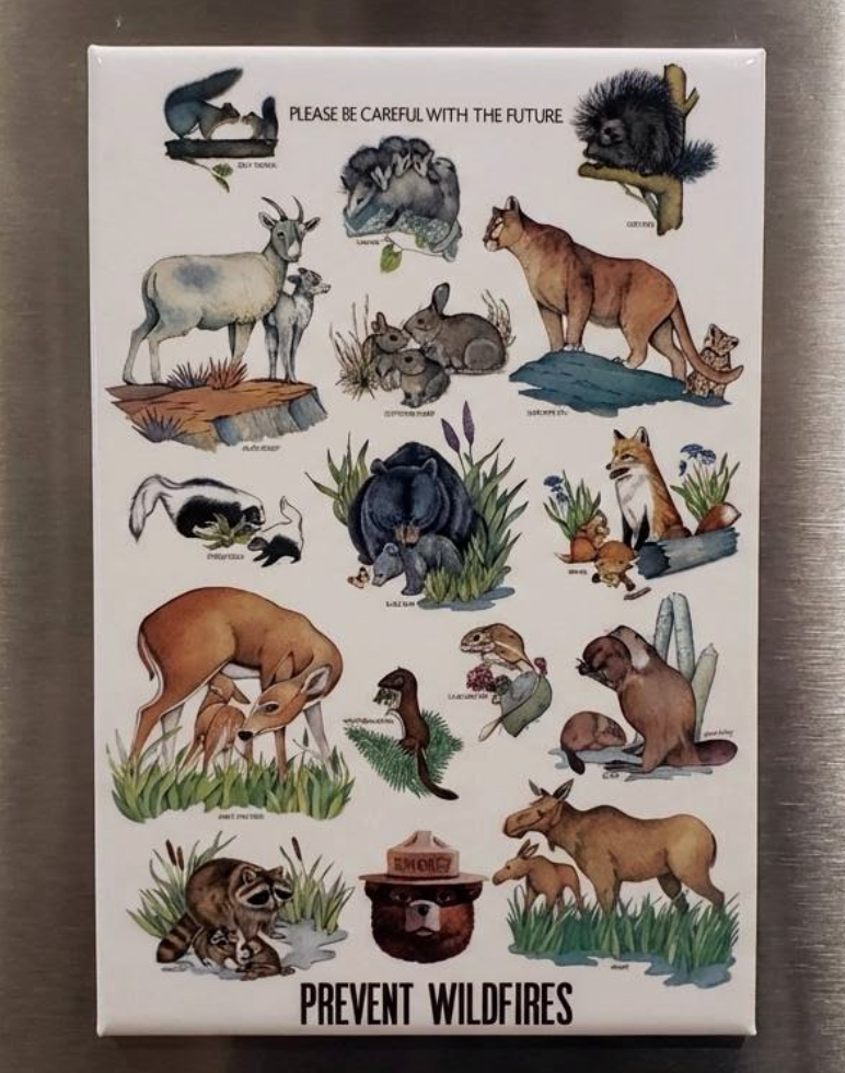 Animals Natural Magnet