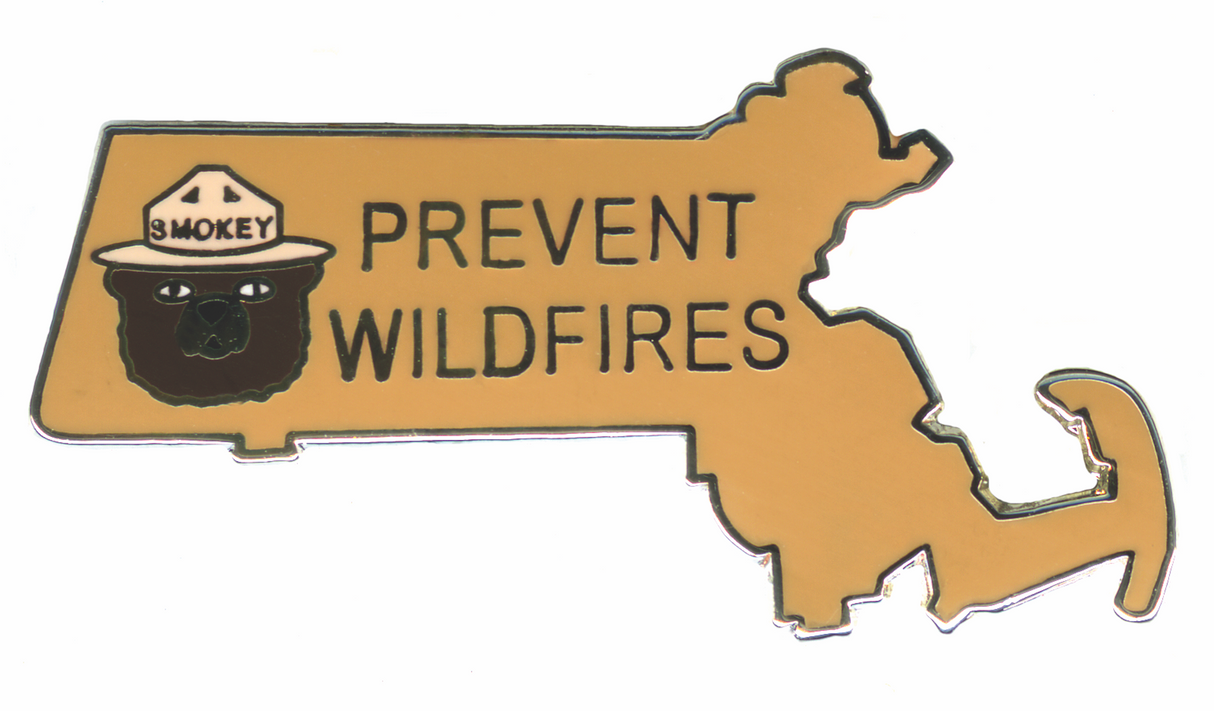 Massachusetts Smokey Pin