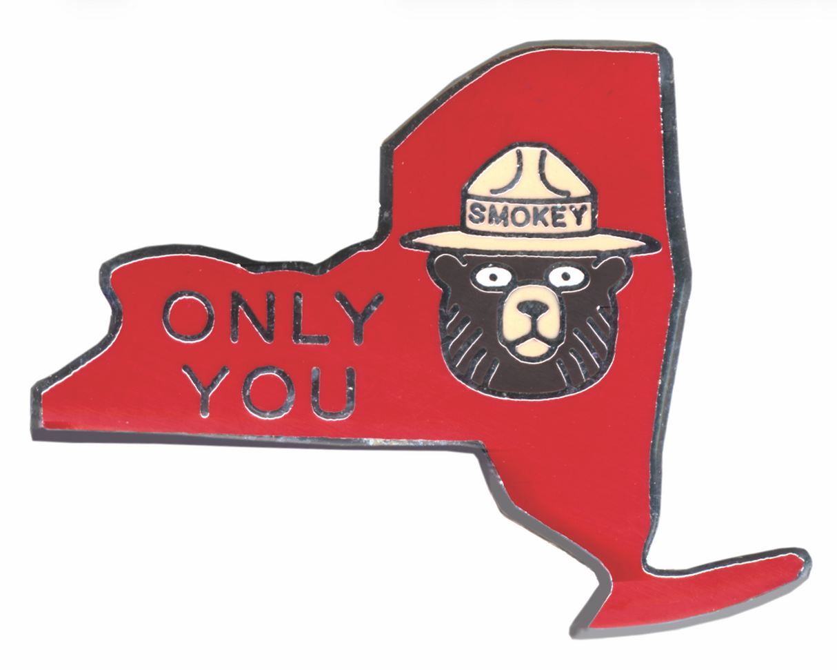 New York State Pin