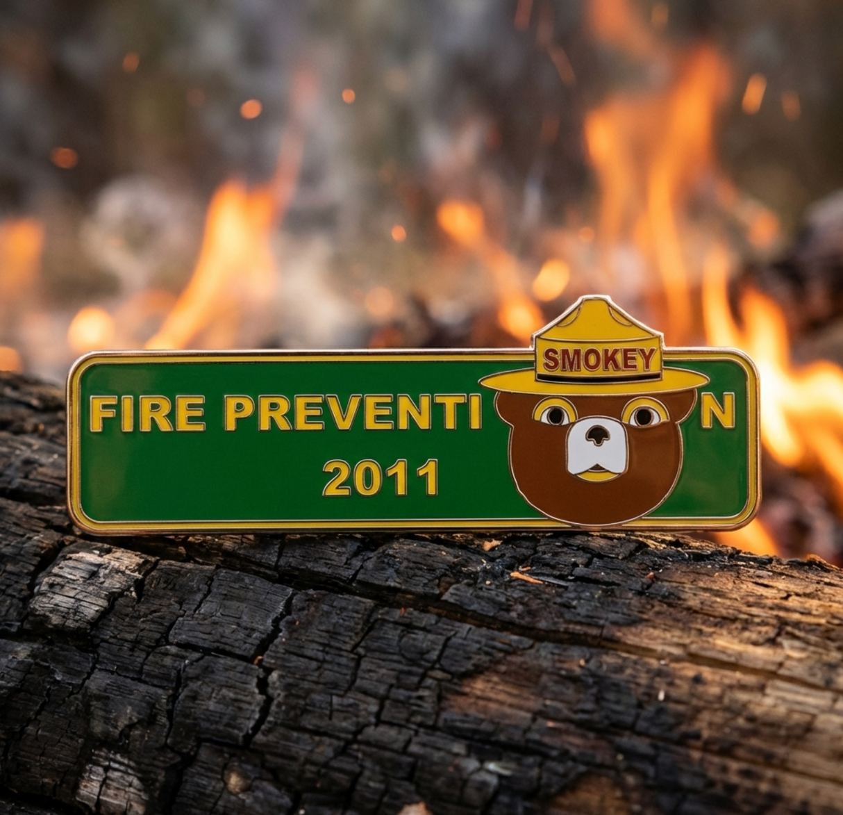 2011 Pin of the Year
