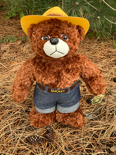 18 smokey bear doll