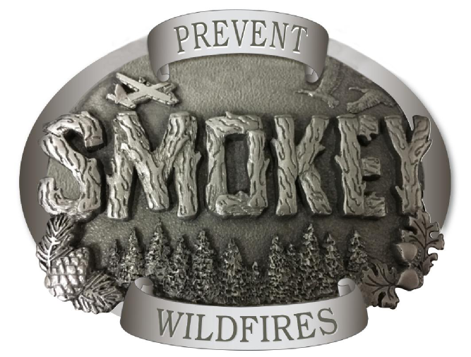 2017 smokey pewter buckle