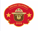 2020 pin of the year
