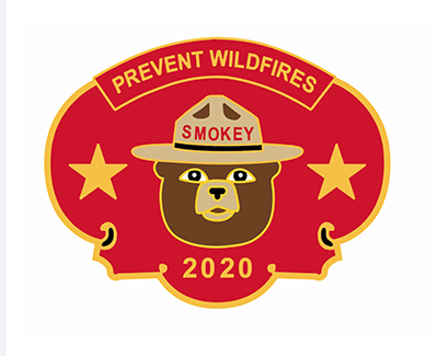 2020 pin of the year