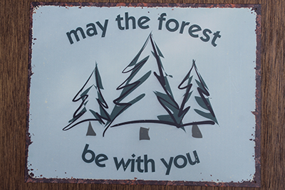 forest with you sign