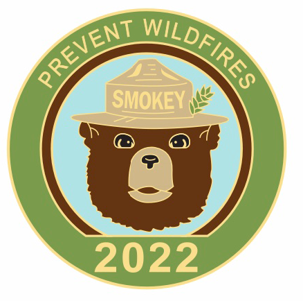 2022 pin of the year