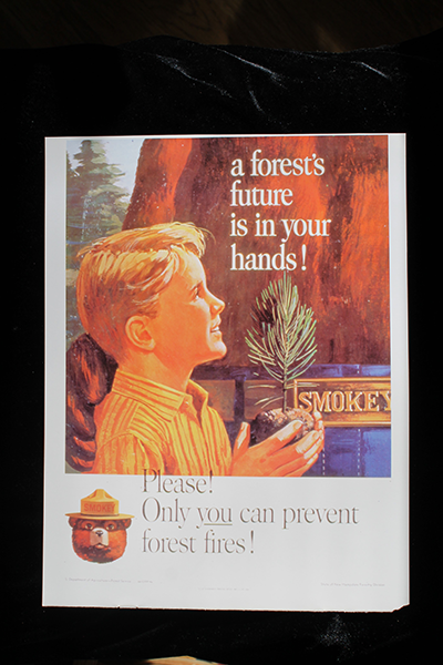 poster forests future