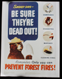 poster forest fires