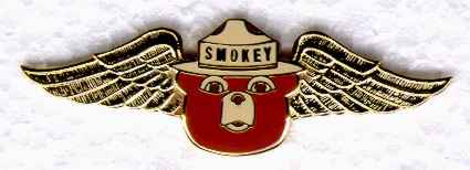 smokey w wings pin