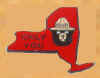 new york state pin