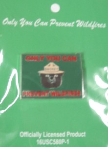 colorado state pin