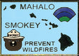 hawaii smokey pin