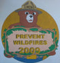 2009 year pin