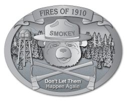 2010 smokey pewter buckle