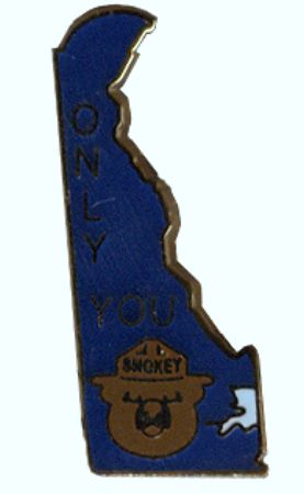 Smoke Tree Ranch Pin Delaware Smokey Pin – Woodland Catalog