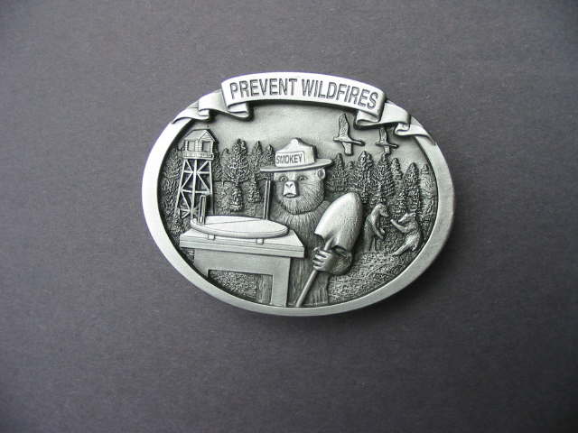 2011 smokey pewter buckle