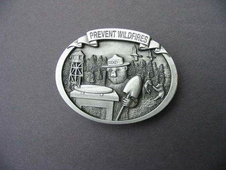 2011 smokey pewter buckle