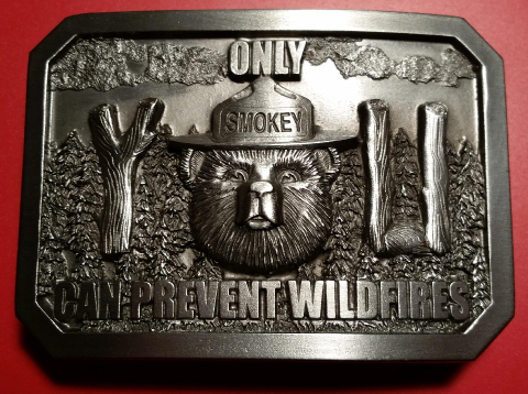 2015 smokey pewter buckle