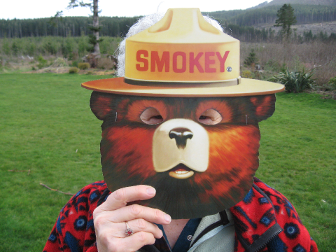 smokey bear mask