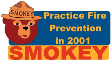 2001 smokey pin