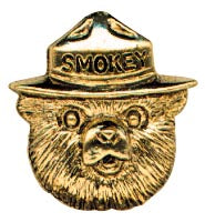 classic lapel pin