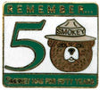 50th logo pin