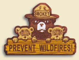 prevent wildfires pin