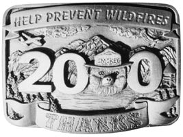 2000 pewter buckle