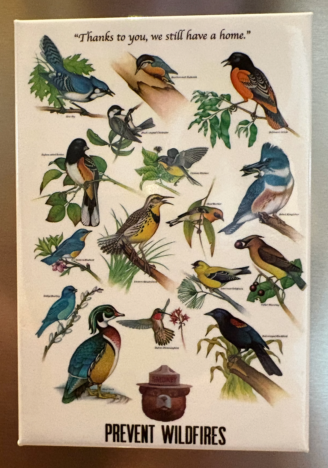 Birds Natural Magnet