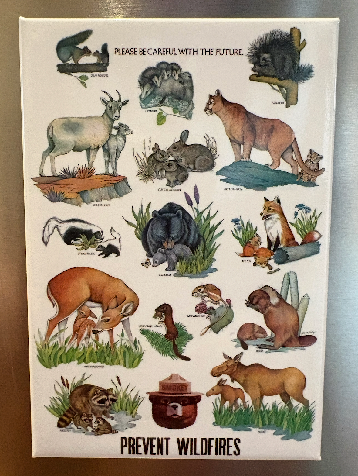 Animals Natural Magnet