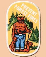 prevent fires 1979