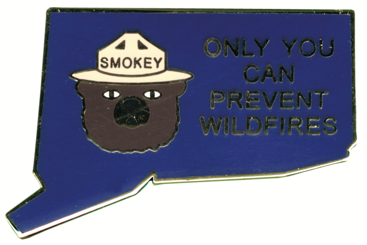 Connecticut State Pin