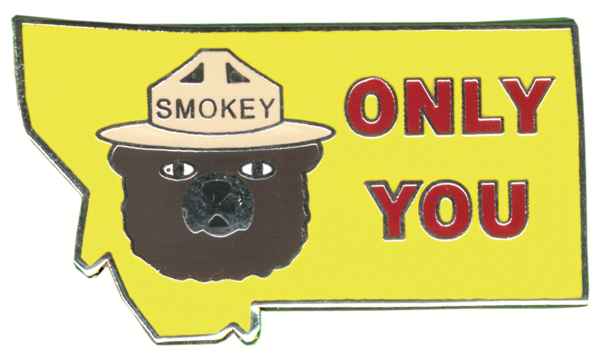 Montana State Pin
