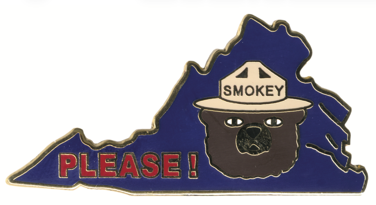 Virginia State Pin