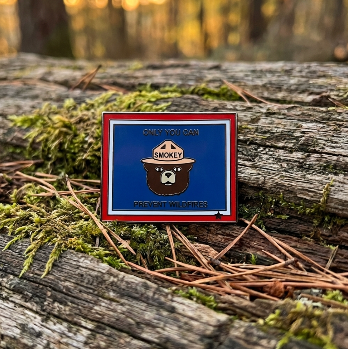 Wyoming Pin