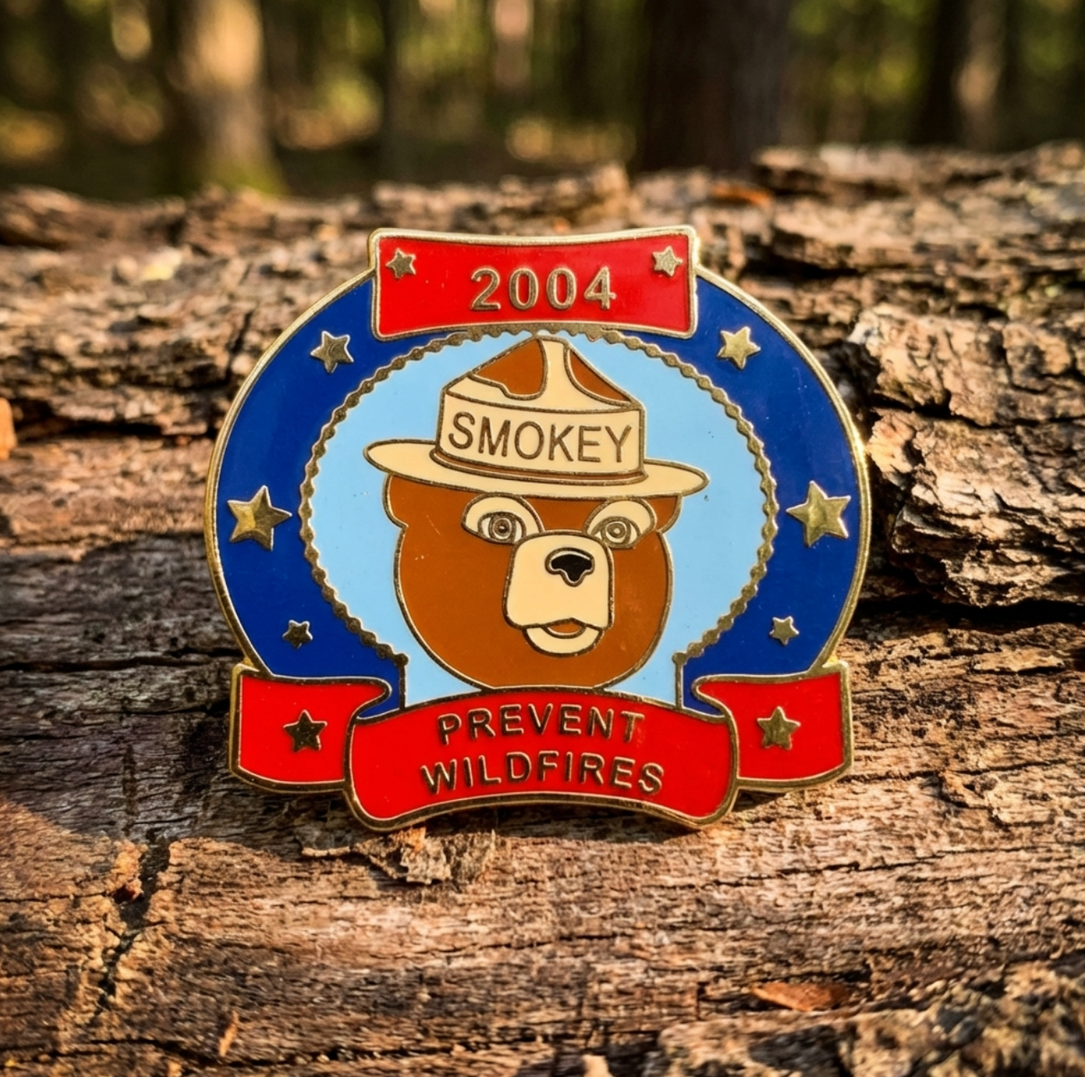 2004 Year Pin