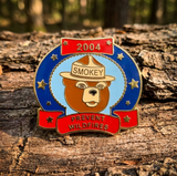 2004 Year Pin