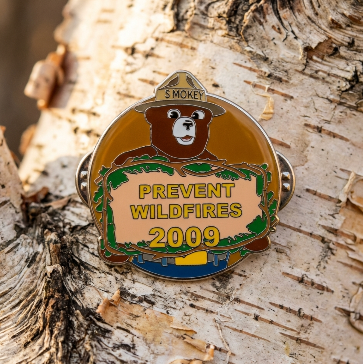 2009 Year Pin