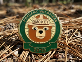 2010 Pin of the Year