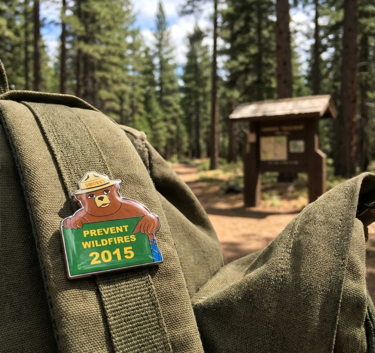 2015 Pin of the Year