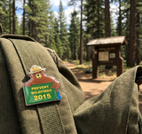 2015 Pin of the Year