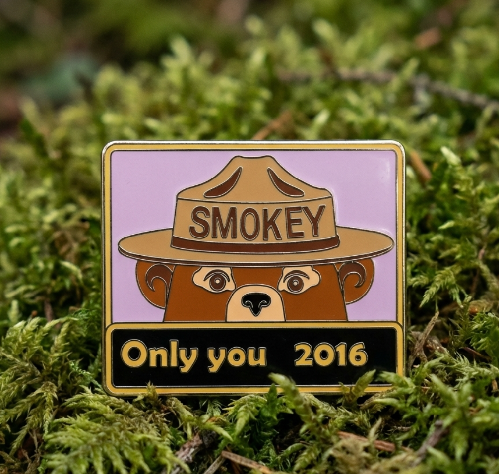 2016 Pin of the Year