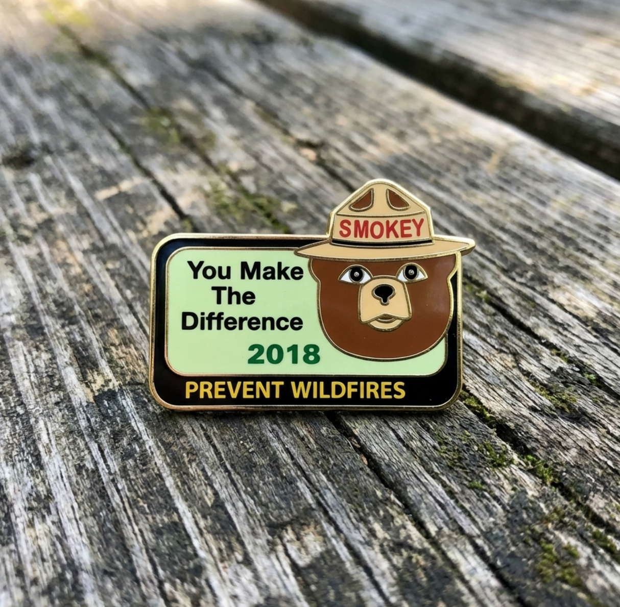 2018 Pin of the Year