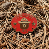 2020 Pin of the Year