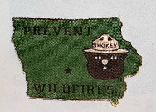 Iowa Smokey Pin