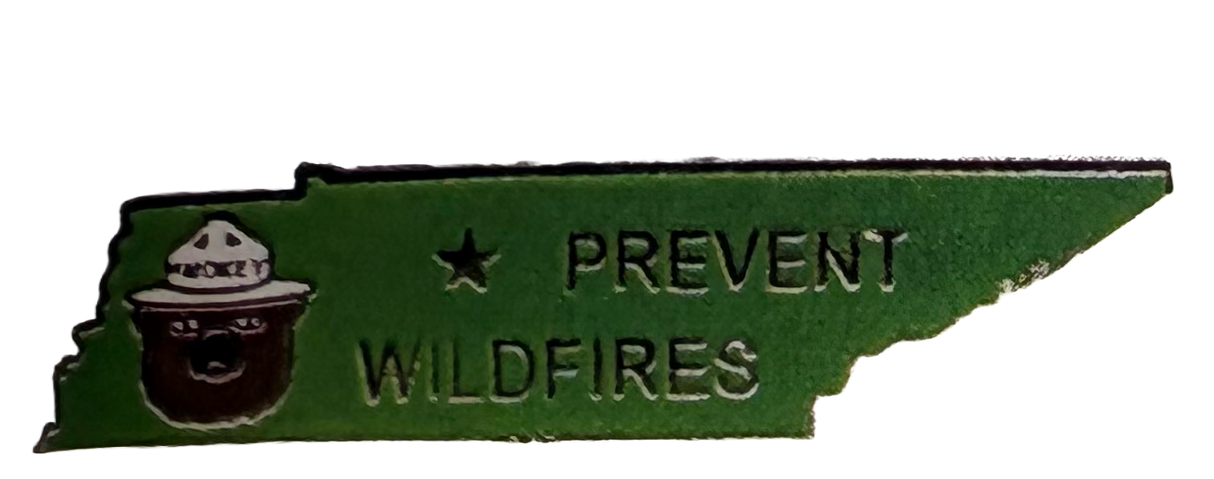 Tennessee Smokey Pin